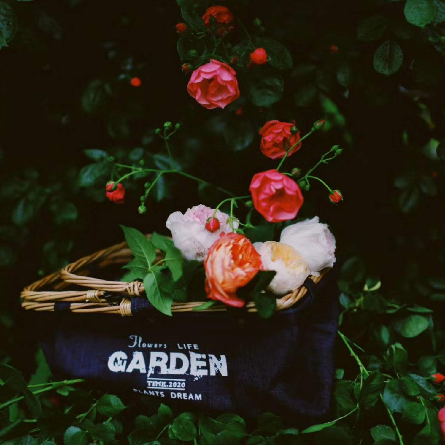 Harvest Basket for Collecting Garden Vegetables
