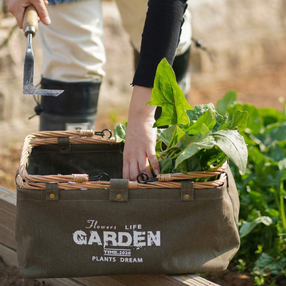 Harvest Basket for Collecting Garden Vegetables
