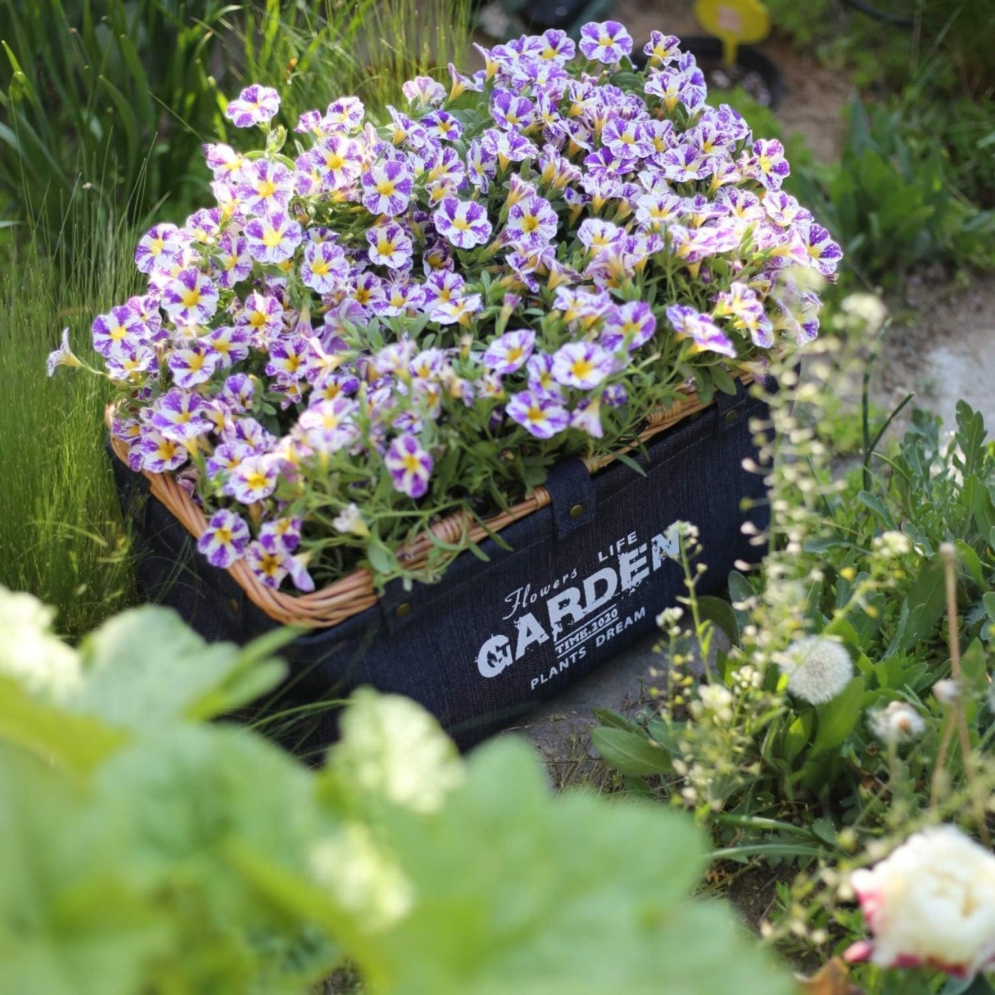 Harvest Basket for Collecting Garden Vegetables